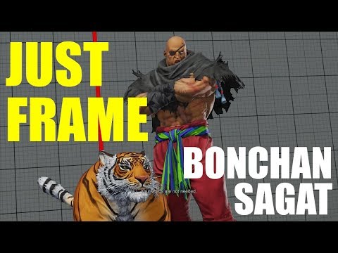 Just Frame Analysis! - Bonchan (Sagat) vs takururin (Laura)