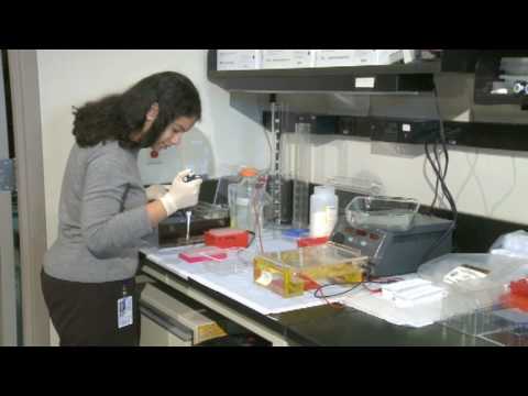 Two NHGRI Intramural Investigators Selected for Presidential Award