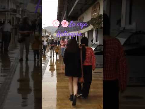 💮🌸La ceja Antioquia