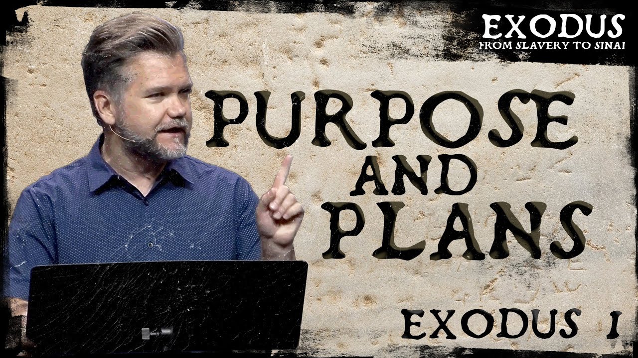 Purpose and Plans