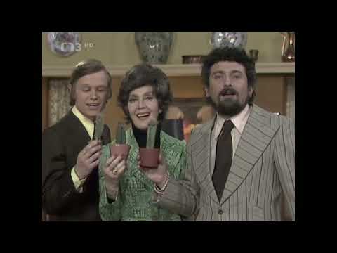 Jiří Korn, Ljuba Hermanová a Waldemar Matuška - Chlupatý kaktus (1974)