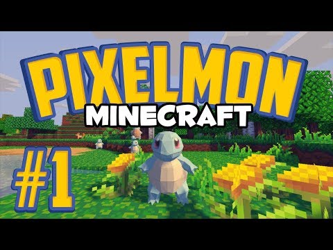 Minecraft Pixelmon Road to the E4 - Episode 1 - Choosing Starter
