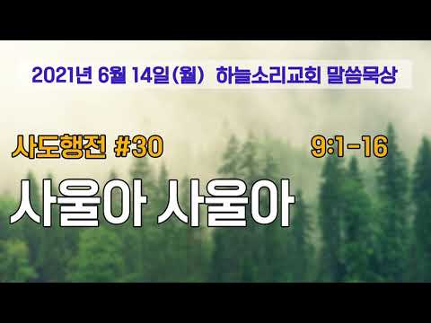 2021. 6.14. [매일묵상] 사도행전 30 사울아 사울아(9:1-16)