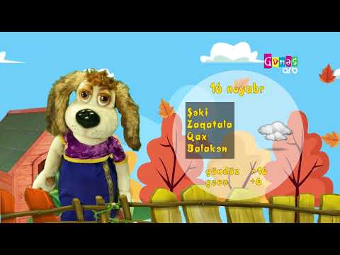 "Hava necə olacaq?" - 16 noyabr 2024-cü il