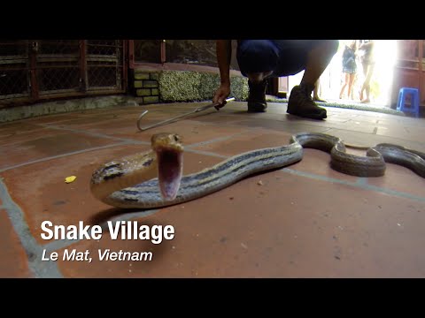 Snake Village in Le Mat, Vietnam