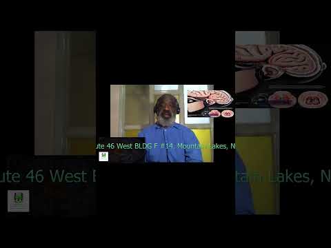 The Brain’s Response to Injury: Proteins, Immune Cells, and Structural Changes