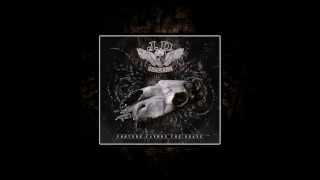 J. D. Overdrive - Call of the South (audio)