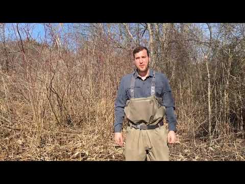 NepRWA Restoring Pine Tree Brook, Milton, MA