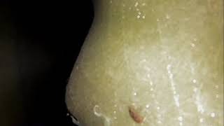 173_【アジリオス・PTP50】風車のブレードの中　映像