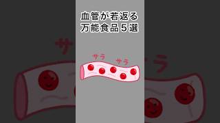血管が若返る万能食品5選#雑学 #健康雑学 #面白いスレ #shorts