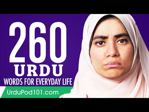 260 Urdu Words for Everyday Life - Basic Vocabulary #13