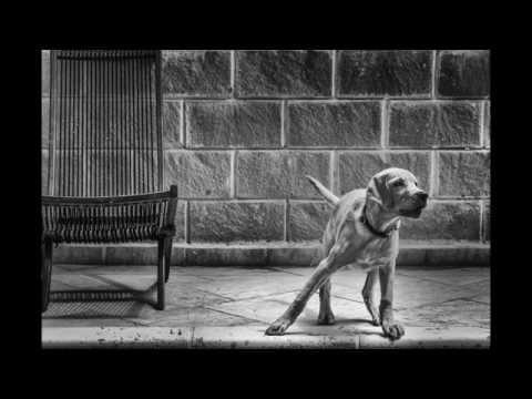 Olympus Em10 Sample Photos- BW session