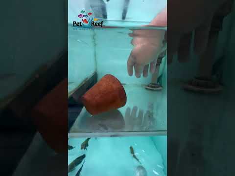 💥 O menor preço do Rio de Janeiro tá aqui!