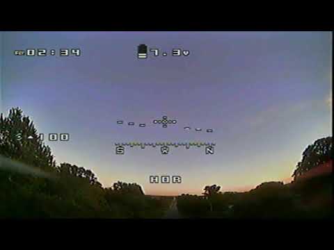 My first flight with baby hawk