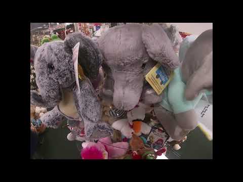 NATIONAL ELEPHANT APPRECIATION DAY  September 22nd