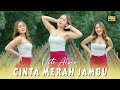 Vita Alvia Cinta Merah Jambu DJ Remix