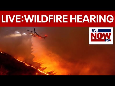 Video | LIVE: Senate hold hearings on WILDFIRE reduction