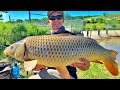 Video Thumbnail for Massive Saskatchewan Common Carps on Artificial Baits (Carp Spawning & New PB)