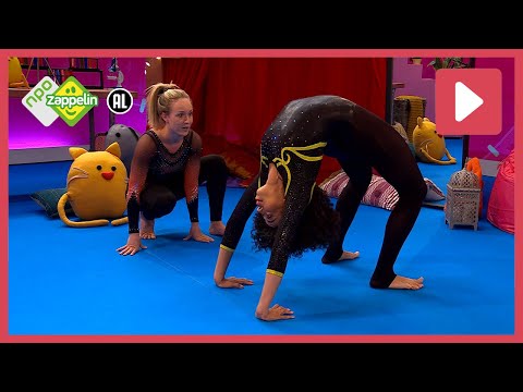 LICHAAM | Zin in Zappelin | NPO Zappelin