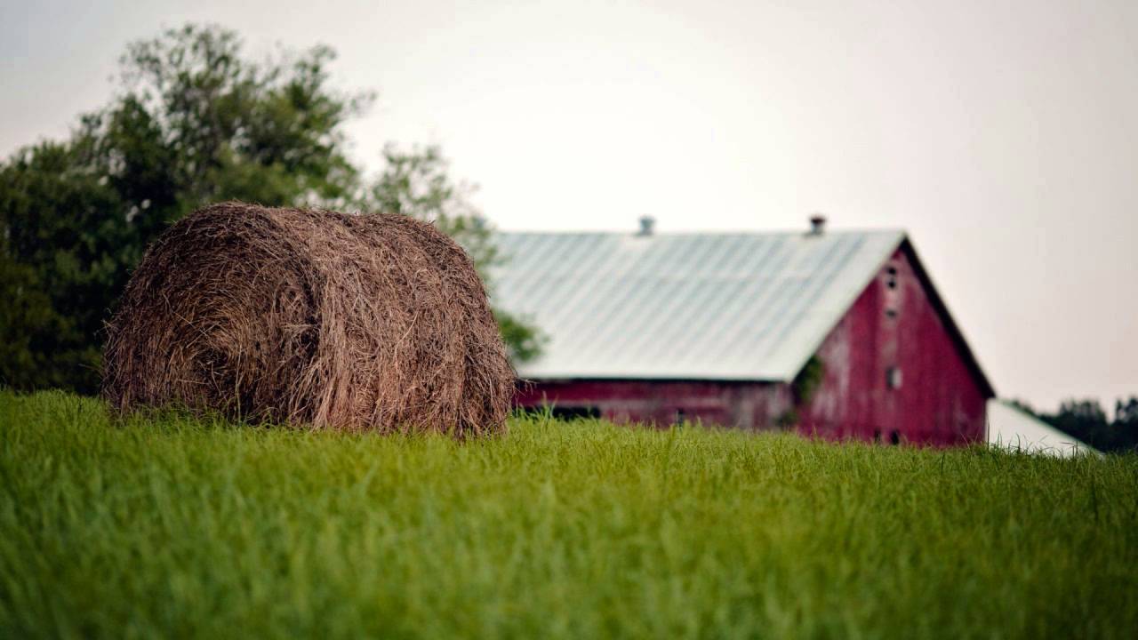 Main Tum Se Mohabbat Karta Lyrics  | Jai Shiv Shankar | Rajesh Khanna, Jeetendra | Anuradha Paudwal, Kishore Kumar | Rahul Dev Burman