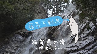寝落ち動画　県下最大落差の滝　～大津市 楊梅の滝～