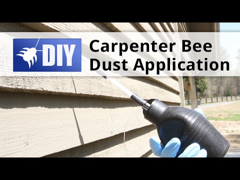  Carpenter Bee Dust Application Video 