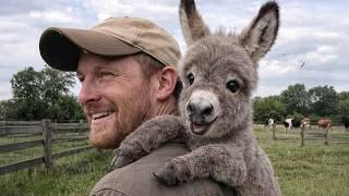 When the Animal Distribution System Hits You at the Perfect Time 😆