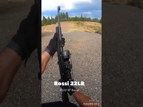 Rossi Gallery .22 Pump Rifle Shooting Review - It's Reliable \u0026 Fun But Is It Accurate?