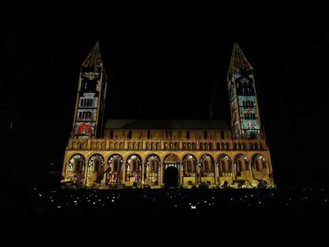 Hermes Mangialardo - Liquidshades @ Zsolnay Light Festival Mapping Contest Pécs 2017