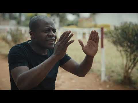 Fermentation in Ivory Coast   Cacao Trace
