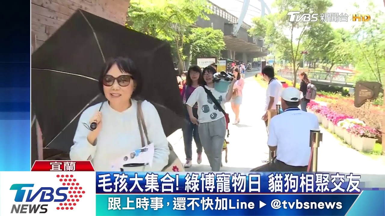 毛孩大集合！綠博寵物日　貓狗相聚交友