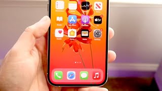 How To Fix iPhone Not Responding To Touch! (2021)