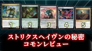 [MTG]パウパー目線で見る！「ストリクスヘイヴンの秘密」コモンレビュー[番外編]