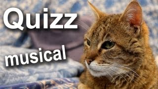 038 QUIZZ MUSICAL