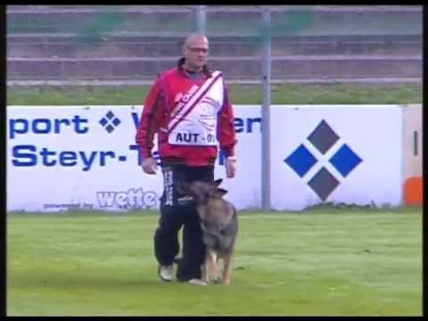 WUSV-WM 2012. (Austria, Steyr). Unexpected moments.