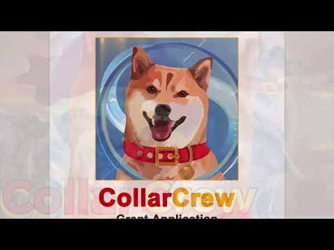 Dog Collar - History & Overview Play to Earn Metaverse
