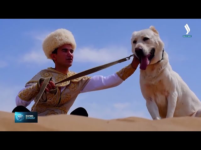 Түркмөн алабайын багуу өнөрү ЮНЕСКОго кирди