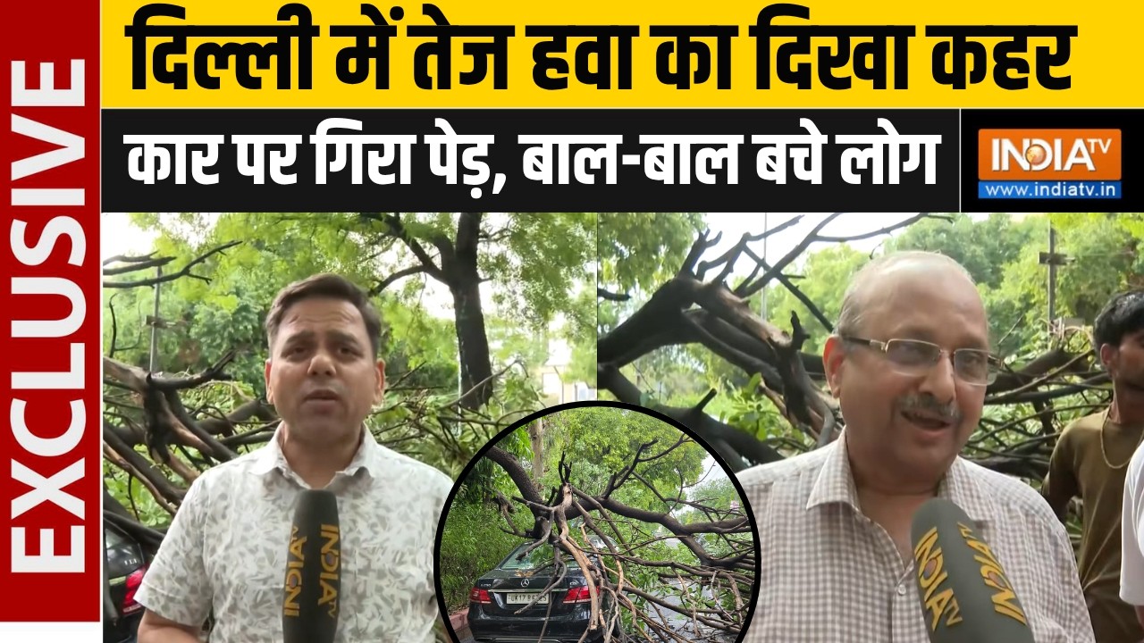 Delhi में अचानक बदला Weather का मिज़ाज, तेज हवा से कार पर गिरा प