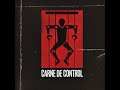 Carne de control