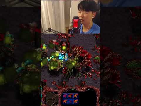 WE FINALLY FIGHTING?