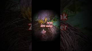 Download lagu bugil#fyp#reels#viralvideo#shorts#funny#subscrib#like#youtubeshorts mp3 Download lagu bugil#fyp#reels#viralvideo#shorts#funny#subscrib#like#youtubeshorts mp3