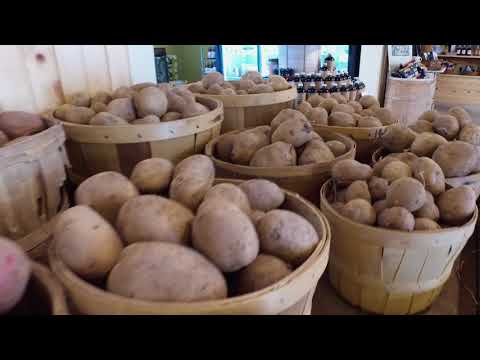 download lagu mp3 mp4 Barbers Farm, download lagu Barbers Farm gratis, unduh video klip Barbers Farm