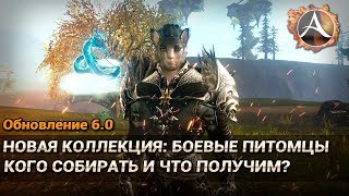 Ссылка