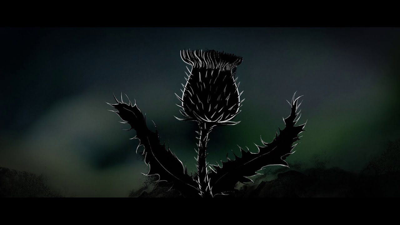 L'histoire du chardon d'Ecosse - Whisky Sir Edward's