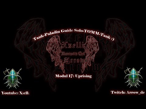 Neverwinter | Modul 17 | Paladin Tank Guide | OP | Solo Tank TOMM | So spiele ich ihn! (PC/Xbox/PS4)