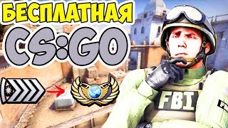 БЕСПЛАТНАЯ CS:GO!? ЧТО С НЕЙ СТАЛО?! КОГДА БУДЕТ ГЛОБАЛ!? НАПАРНИКИ КС:ГО