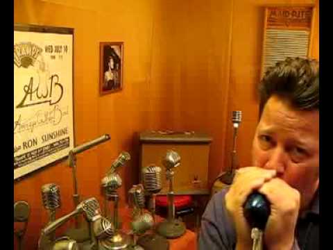 Hohner Blues Blaster/Astatic JT-30 Bullet Harp mic  with MC 101 Crystal Element