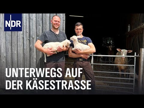 , title : 'REUPLOAD: Unterwegs auf der Käsestraße in Mecklenburg-Vorpommern | die nordstory | NDR Doku'