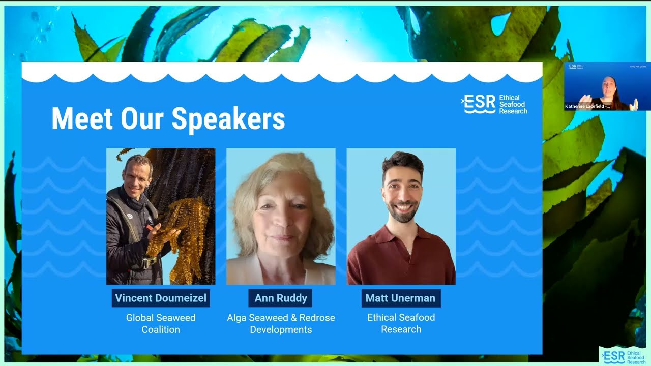 Can Seaweed Transform Aquaculture? | Seaweed Farming, Sustainable Food Systems & the Blue Economy