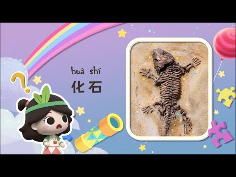 石頭是怎麼形成的